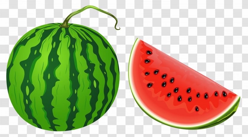 Watermelon Clip Art - Citrullus - Melon Transparent PNG