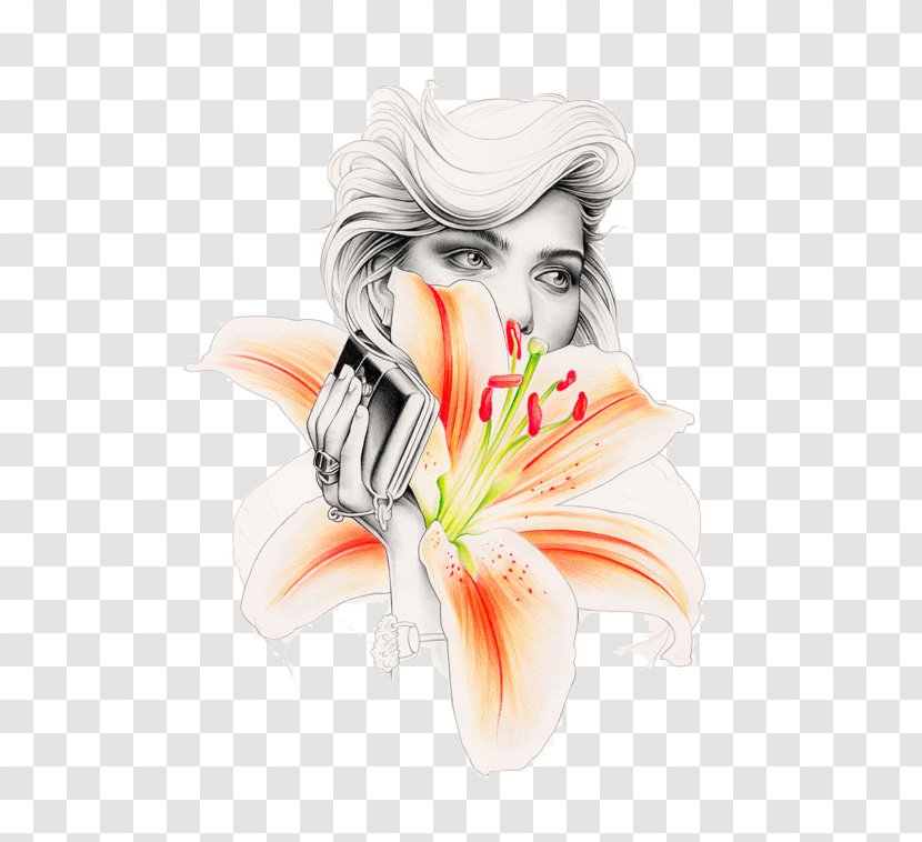 Drawing Illustrator Painting Illustration - Muscle - Lily Transparent PNG