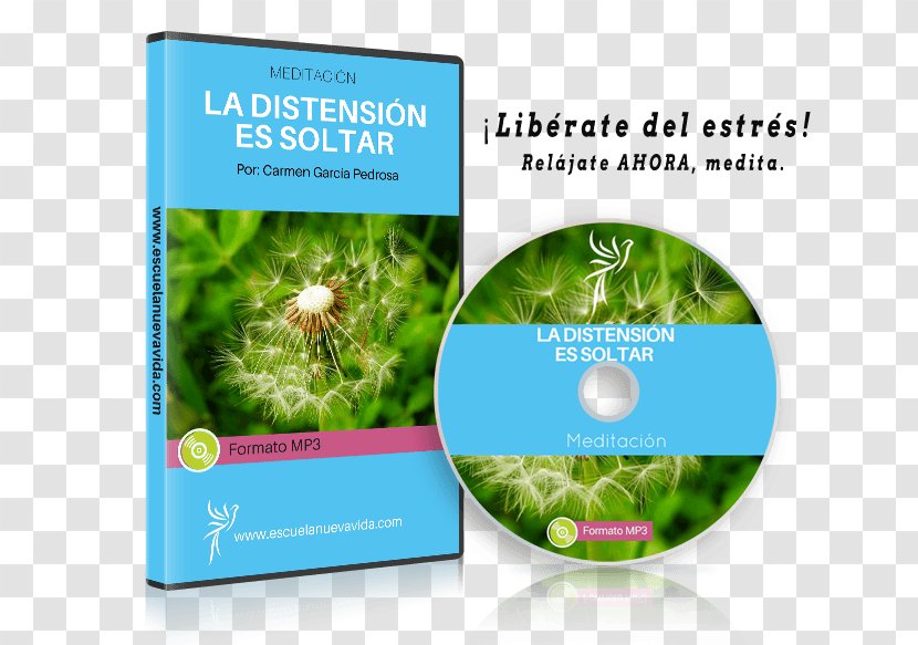 Ecosystem Life Brand Brochure School - Herbal - ESTRES Transparent PNG