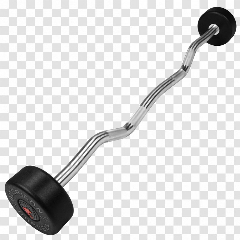 Barbell Dumbbell Weight Plate Biceps Curl Training - Power Rack Transparent PNG