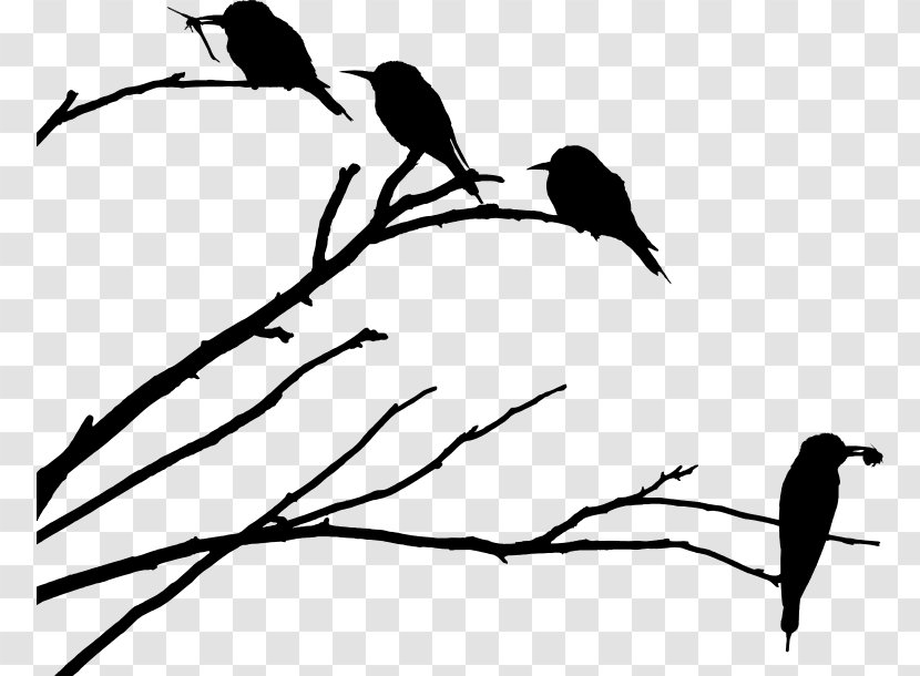 Drawing Father Bird Silhouette - Beak - Siluet Tree Transparent PNG