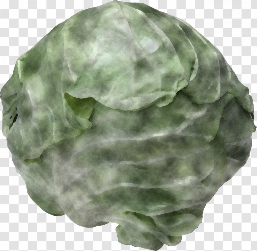 Green Cabbage Leaf Plant Vegetable - Cap Transparent PNG