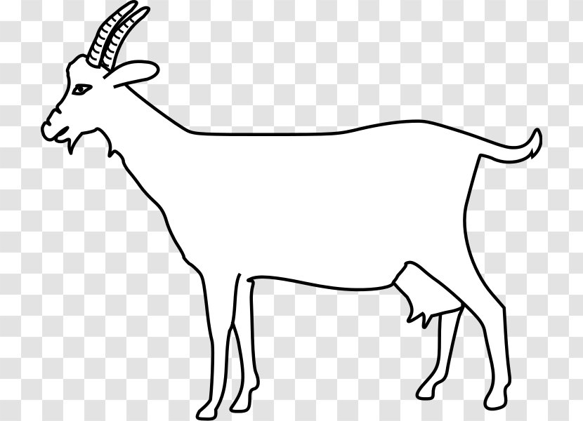 Goat Antelope Horn Human Anatomy Sheep - Tree - White Transparent PNG
