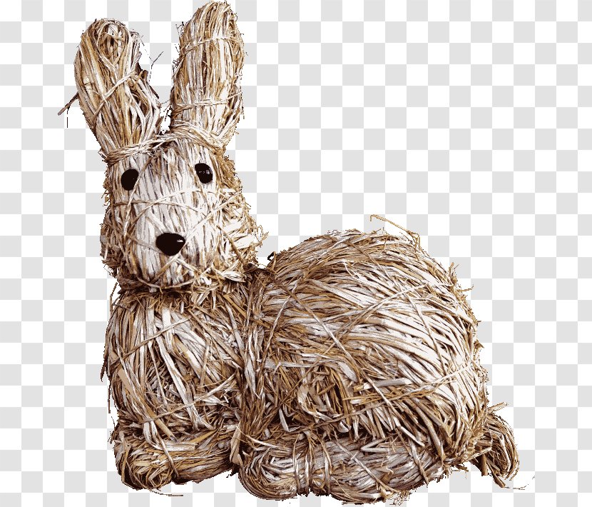 Easter Bunny Rabbit Hare - Frohe Ostern Transparent PNG