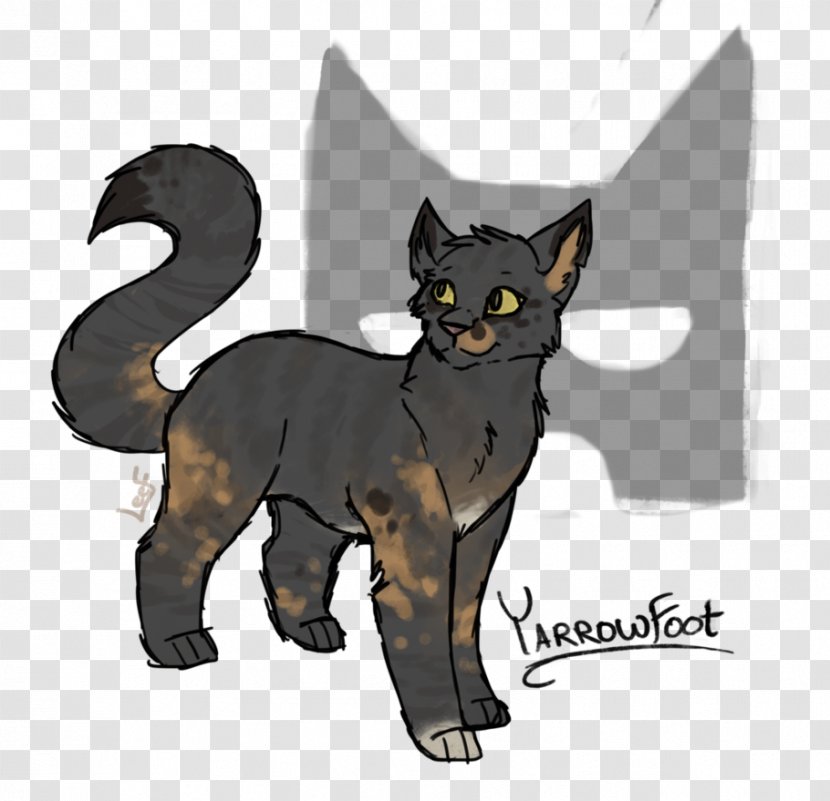 Korat Black Cat Kitten Domestic Short-haired Whiskers - Fauna Transparent PNG