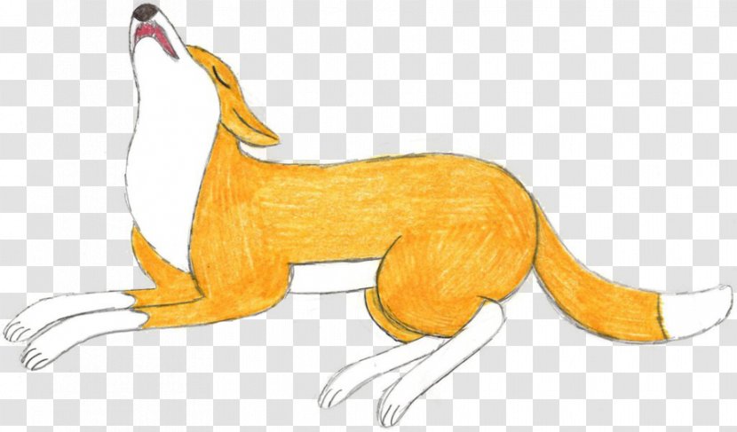 Red Fox Cat Dog Canidae Pet Transparent PNG