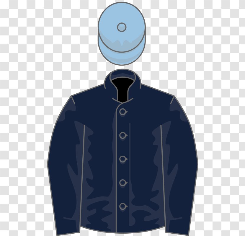 Thoroughbred Epsom Derby November Handicap Lincoln Horse Racing - Jockey - Owners Transparent PNG