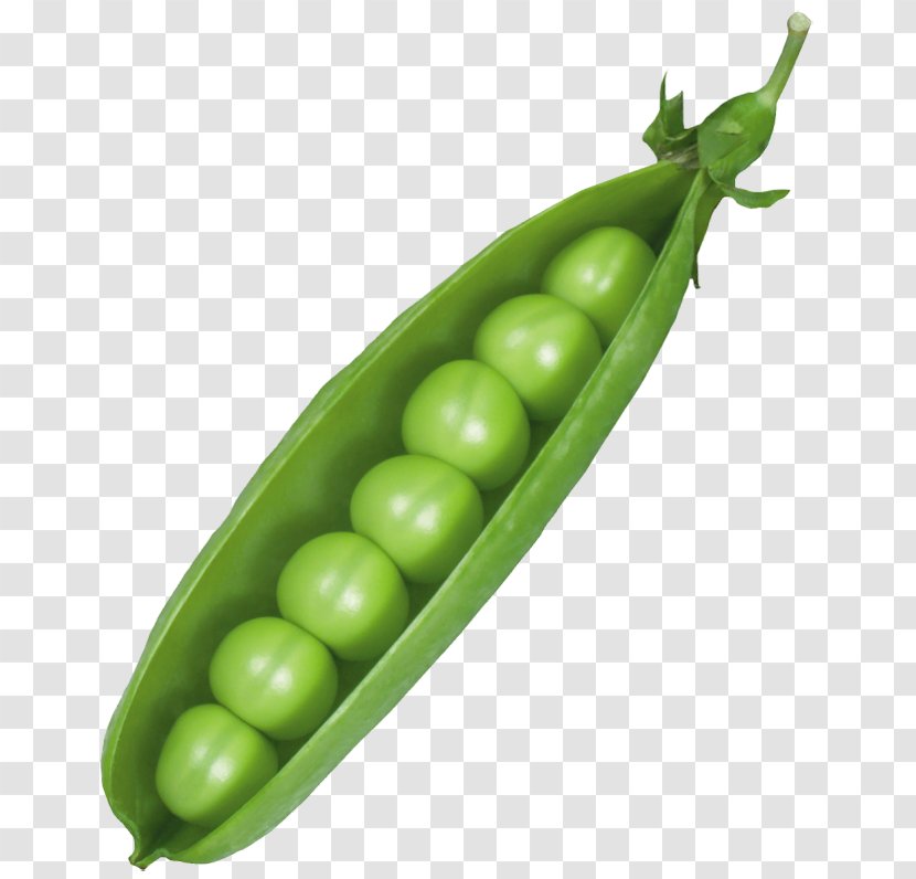 Pea Clip Art - Produce Transparent PNG