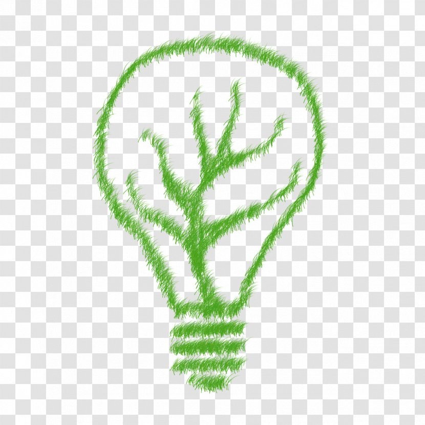 Ecology - Organism - Save Electricity Transparent PNG