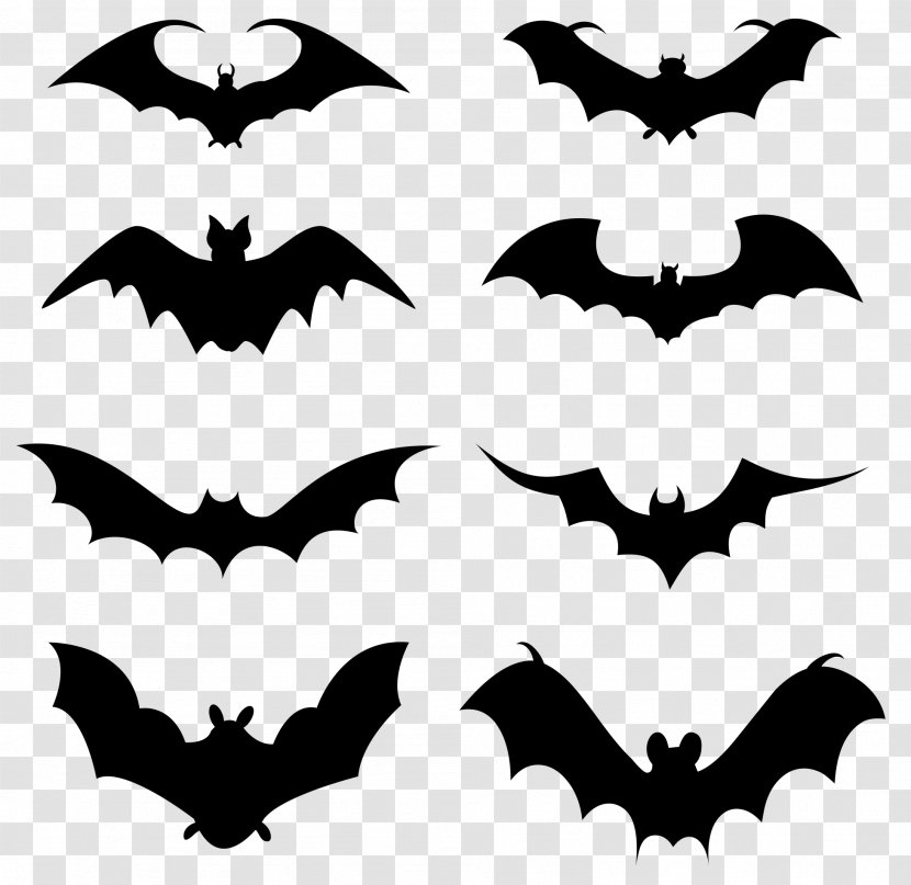 Bat Family - Monochrome - Black And White Transparent PNG