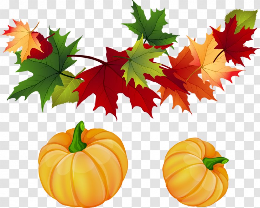 Clip Art For Fall Autumn Leaf Color Image Transparent PNG