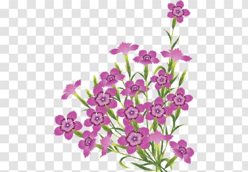 Flower Clip Art - Plant - Flowers Board Transparent PNG