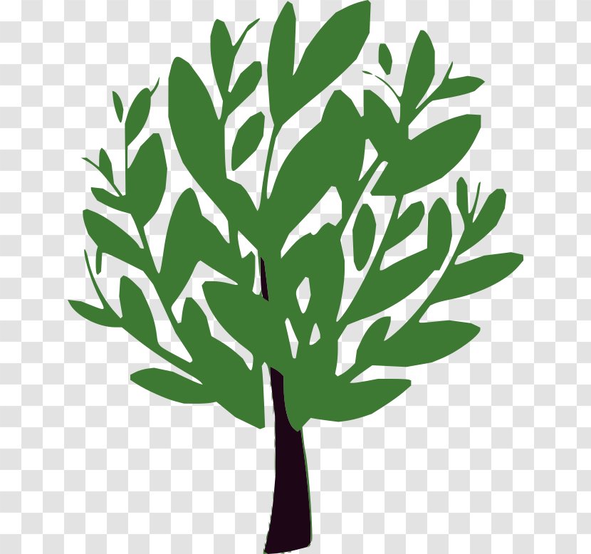 Clip Art Greenwood Montessori Centre Tree Communauté De Communes Du Pays Fillière - Leaf Vegetable Transparent PNG