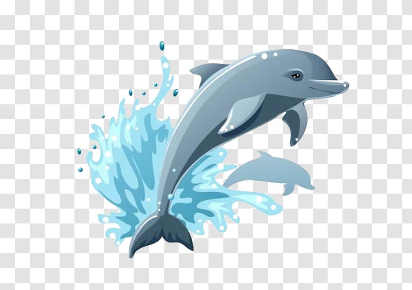 Dolphin Cartoon - Stenella - Striped Spotted Transparent PNG