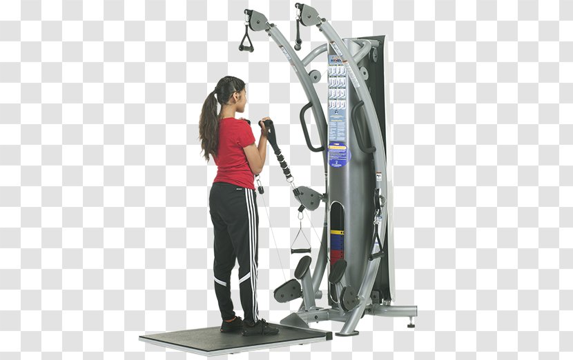 Elliptical Trainers Physical Fitness Weightlifting Machine Strength Training Child - Exercise Equipment - Denmark Transparent PNG