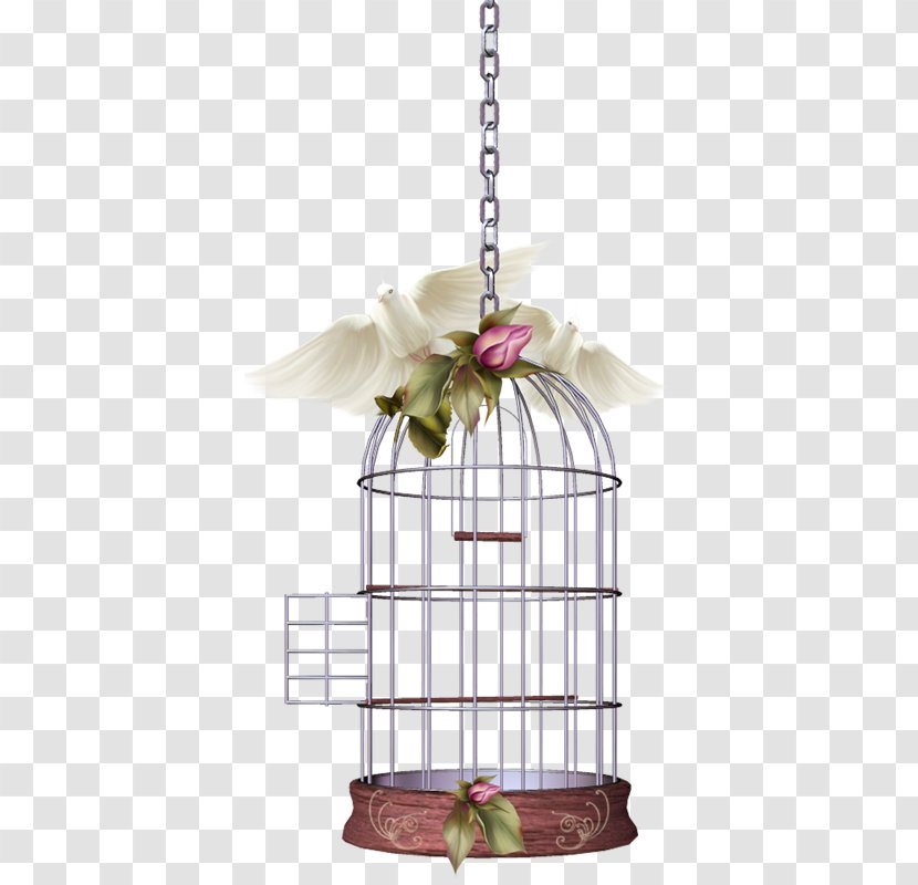 Birdcage - Nest - Birdcages Transparent PNG