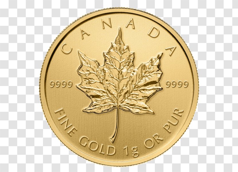 Canada Canadian Gold Maple Leaf Coin - Silver Transparent PNG