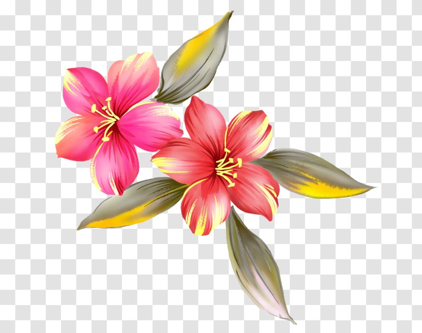 Flower Paint Clip Art - Lily - Watercolor White Transparent PNG