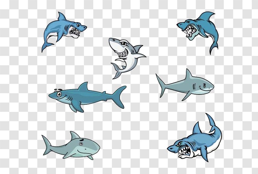 Great White Shark Cartoon Clip Art - Aqua Transparent PNG