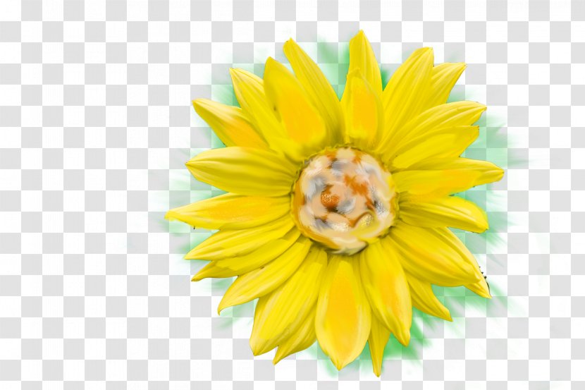 Sunflower M Close-up Petal - Closeup - Lemon Block Transparent PNG