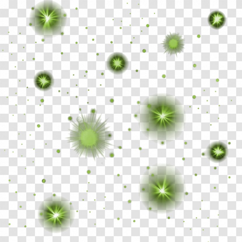 Star Effects - Petal - Photography Transparent PNG