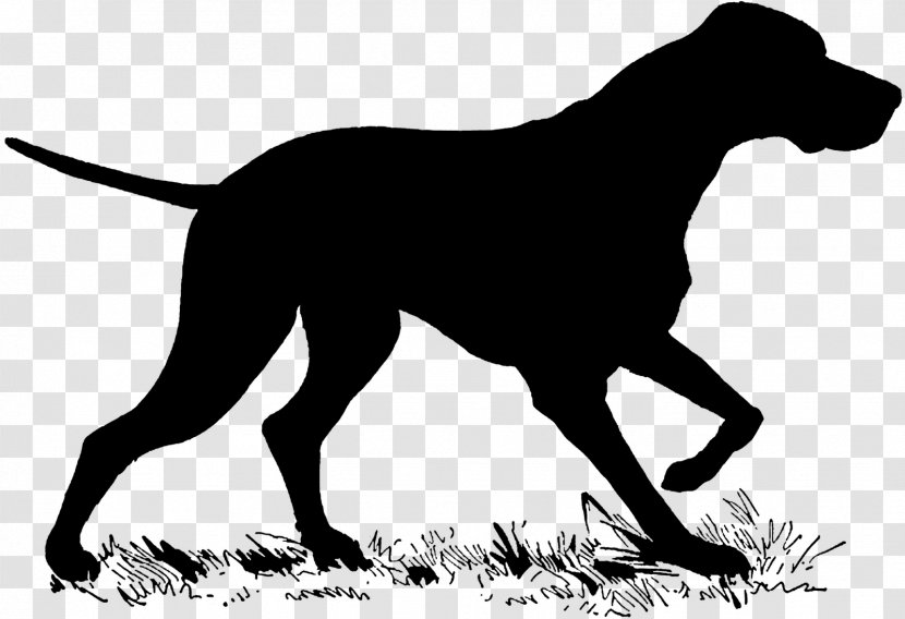 Chinese New Year Vector Graphics Royalty-free Illustration - Montenegrin Mountain Hound - 2018 Transparent PNG
