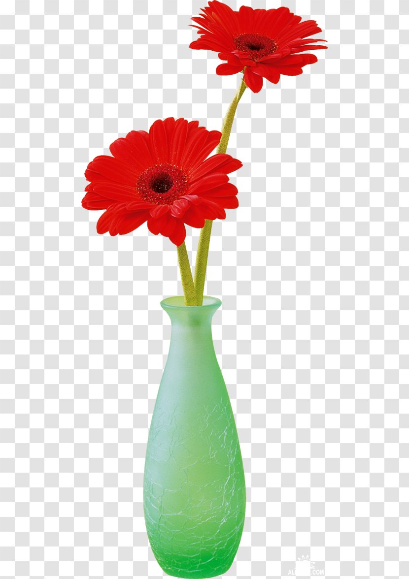 Transvaal Daisy Cut Flowers Chrysanthemum Vase Transparent PNG