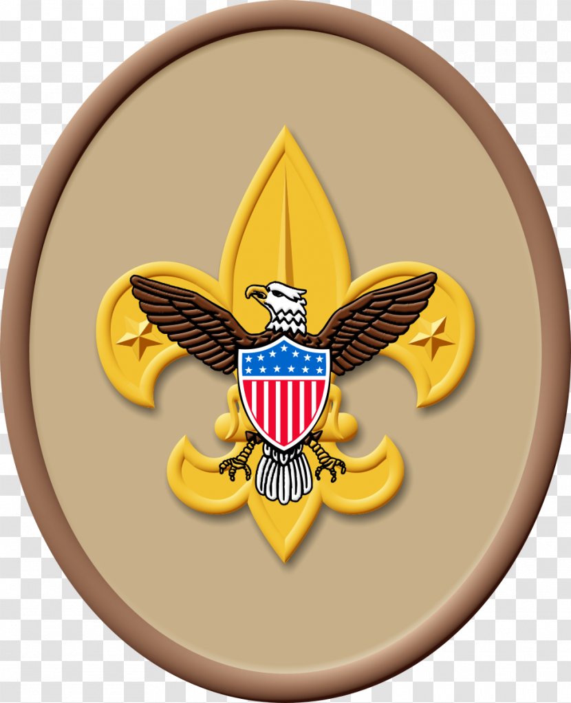 Boy Scouts Of America Scouting Eagle Scout Troop Merit Badge - Law Transparent PNG