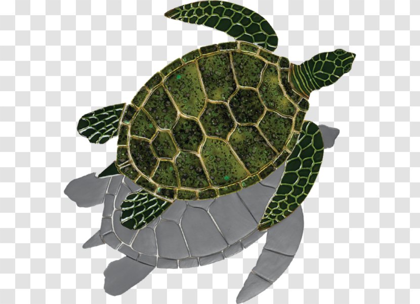 Loggerhead Sea Turtle Tortoise Green - Emydidae - Mosaic Transparent PNG