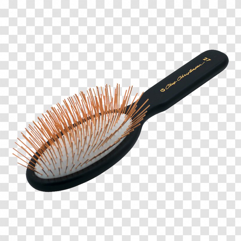 Brush Dog Grooming Gold Show Transparent PNG