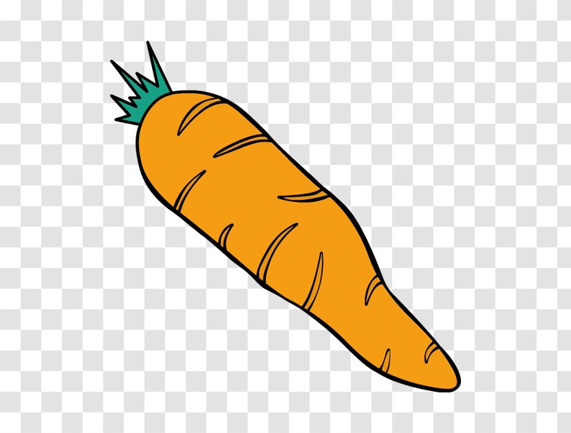 Carrot Drawing Clip Art - Fish Transparent PNG