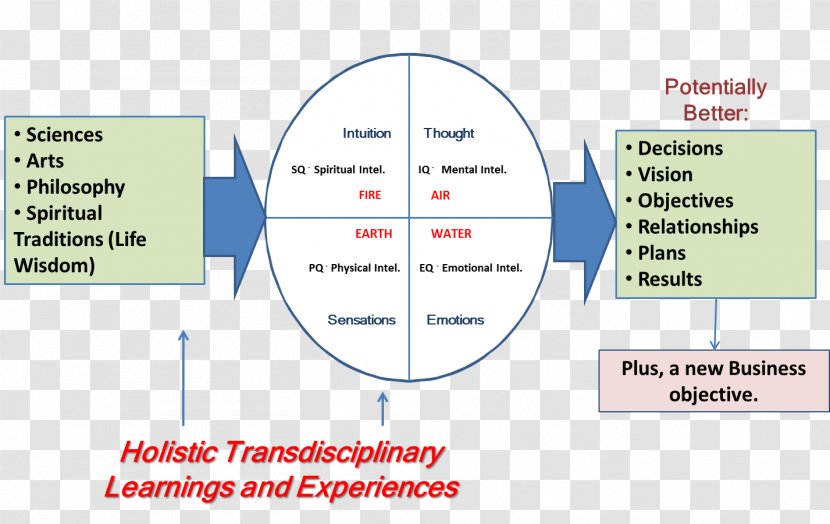 Diagram Presentation Organization - Line Transparent PNG