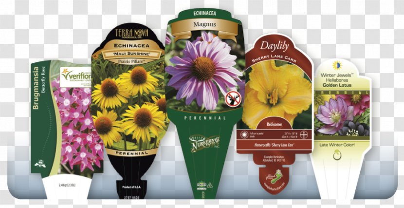 Cut Flowers Floristry - Flora - Label Flower Transparent PNG