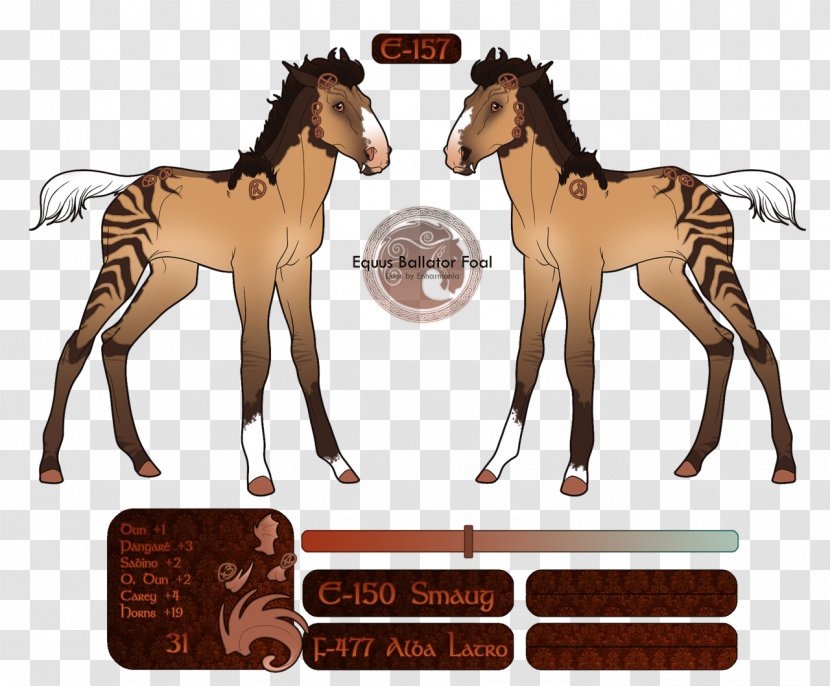 Mustang Foal Stallion Colt Rein - Naturism Transparent PNG