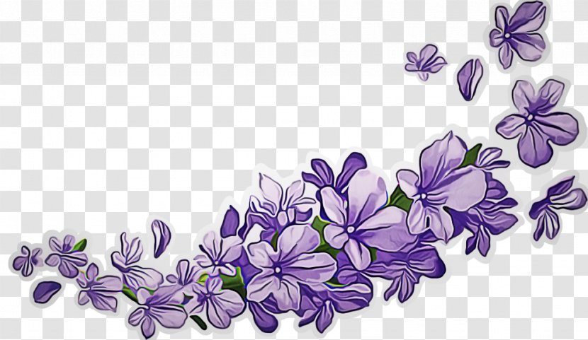 Lavender - Petal - Bellflower Transparent PNG