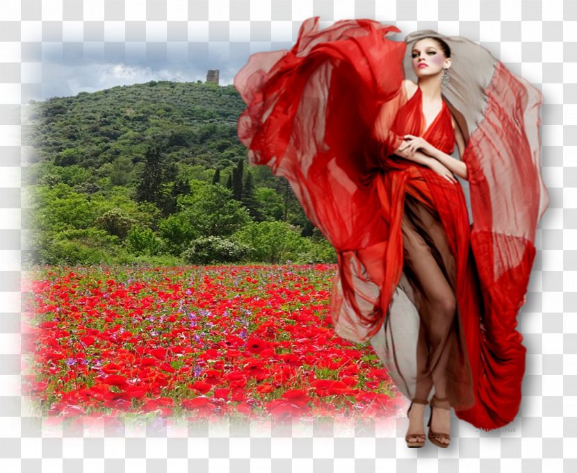 Red Garden Roses Dress Clothing Color - Coquelicot Transparent PNG