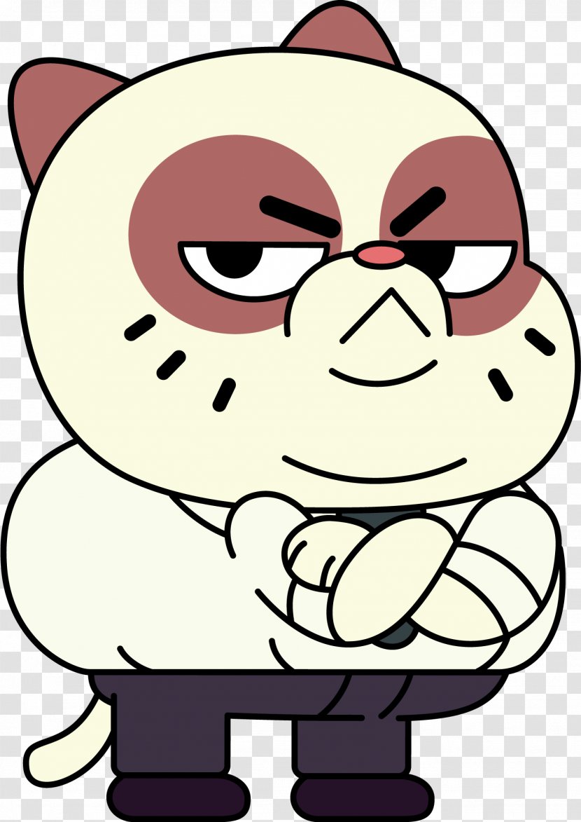 Grumpy Cat Mrs. Mr. Woman - Mr Transparent PNG