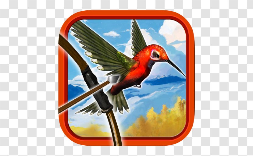 Hummingbird Beak Wing Macaw - Iphone Transparent PNG
