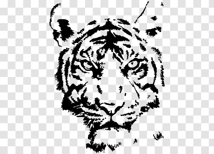 Tiger Drawing Stencil - Frame Transparent PNG