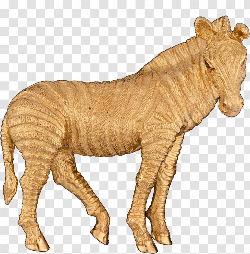 Quagga Cat Terrestrial Animal Wildlife Transparent PNG