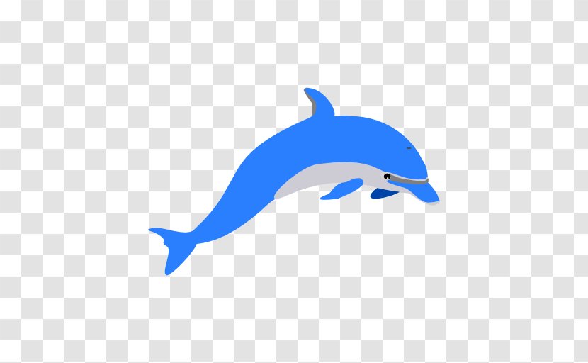All About Dolphins Tania's Tots Daycare And Preschool Clip Art - Short Beaked Common Dolphin - Osean Transparent PNG