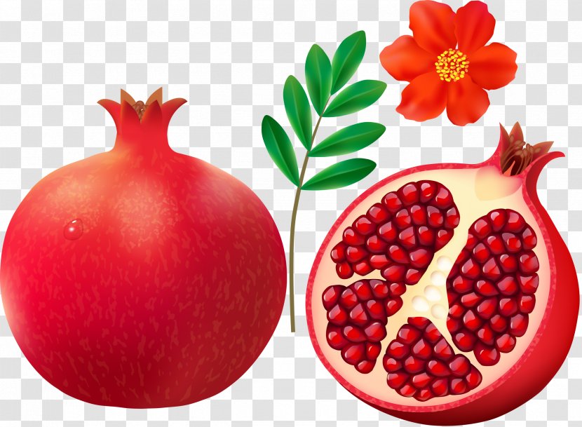 Pomegranate Fruit Clip Art - Grape Transparent PNG
