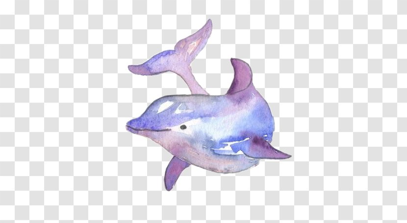 Common Bottlenose Dolphin Watercolor Painting Drawing - Mammal - Animals Background Transparent PNG