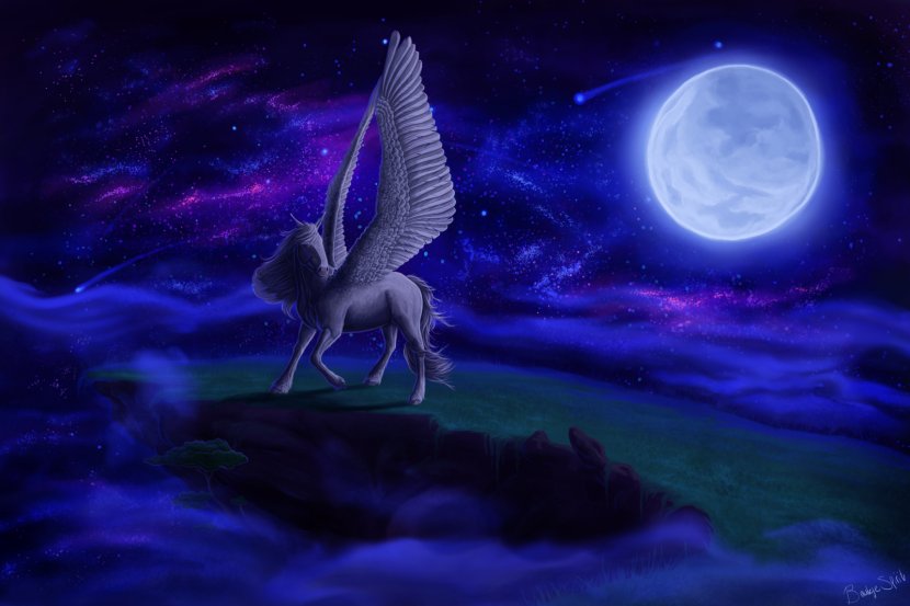 Night Sky Pegasus Moon - Marine Biology Transparent PNG