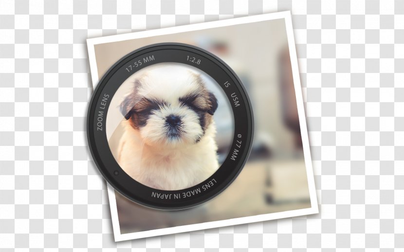 Mac App Store Shih Tzu Apple MacOS - Toy Dog - Streamlined Transparent PNG