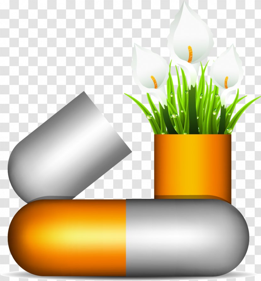 Vector Painted Capsules - Plant - Grass Transparent PNG