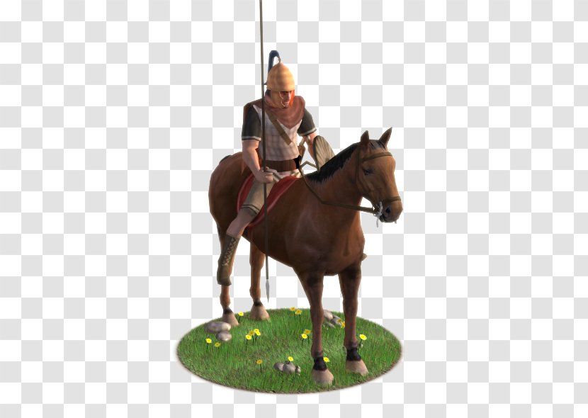 Bridle Cavalry Equestrian Auxiliaires Hispaniques Carthaginois Iberian Peninsula - Horse - War Transparent PNG