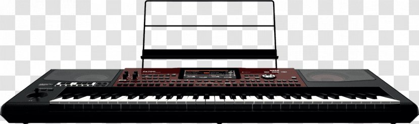 Musical Keyboard Korg Electronic Sound Synthesizers - Cartoon Transparent PNG