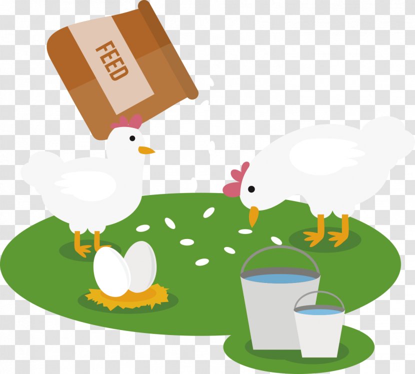 Chicken Agriculture Vector Graphics Animal Feed Stock Photography - Livestock - Hacienda Transparent PNG