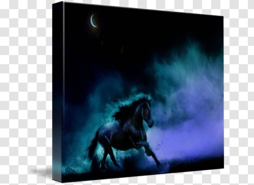 Mustang Stallion Mane Black-horse Moon Gallery Wrap - Phenomenon Transparent PNG